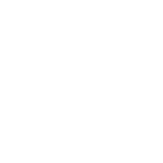 Verify Your Identity Icon